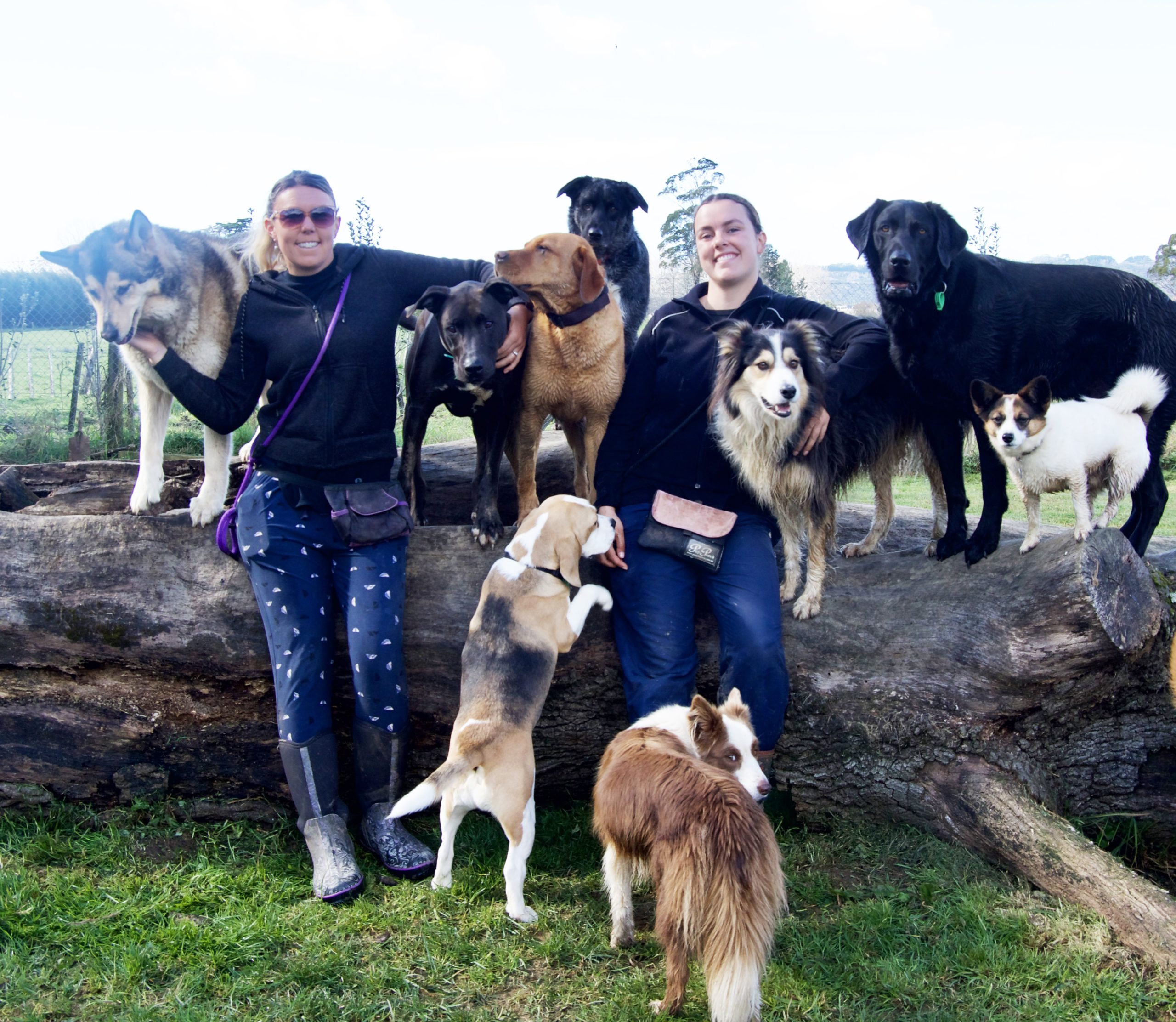 Tarah Spyve on the left with some of the dogs she cared for at Shine Canine.